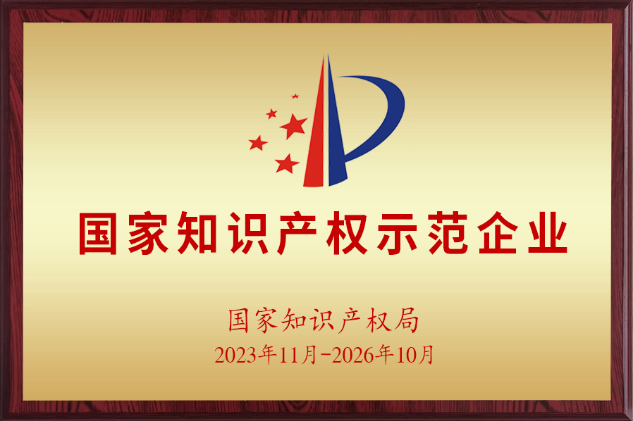 National Intellectual Property Demonstration Enterprise